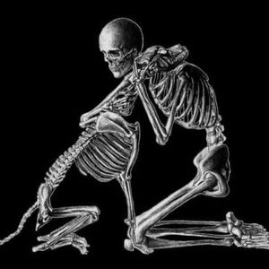 Meet your Posher, Brandi lynn